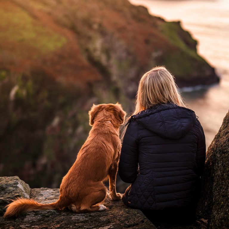 Mensch & Tier Shooting Eine Blonde Frau sitzt mit ihrem Hund auf einem Felsen und betrachtet die Natur