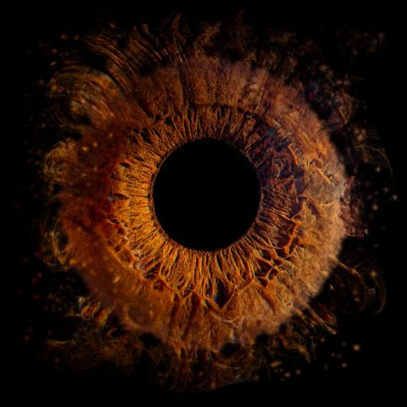 Ein kunstvolles, lebhaftes Auge in warmen Braun- und Orangetönen auf schwarzem Hintergrund.