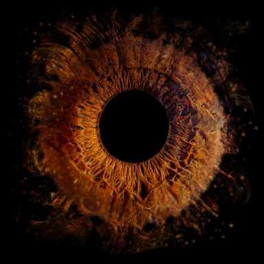 Ein abstrakter Blick auf ein Auge mit orangefarbenen und schwarzen Elementen.
