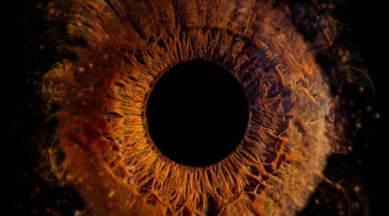 Irisfotografie Eine Menschliche Iris in einem Foto dargestellt