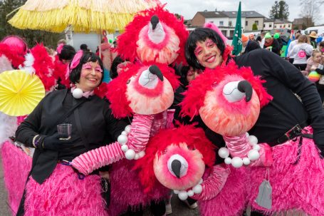 Fünf Personen in bunten Kostümen mit rosa Flamingos feiern karnevalistisch.