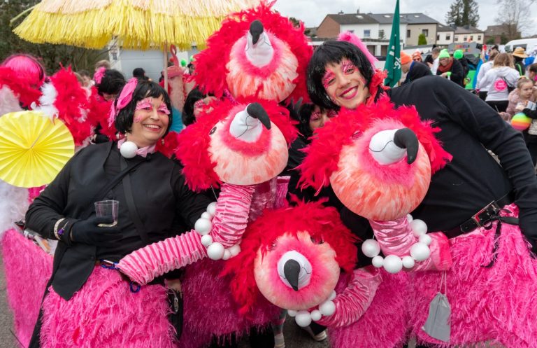 Karnevalsverein verkleidet als Pinke Flamingos