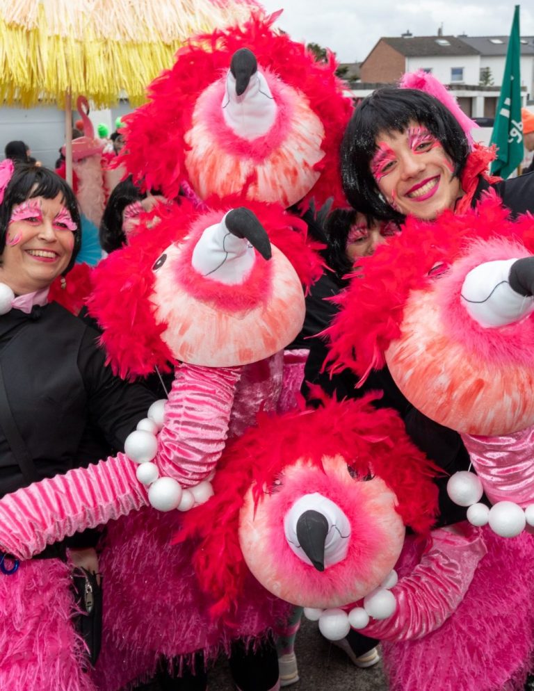 Karnevalszug Teilnehmer eines Karnevalszug in pinken Kostümen