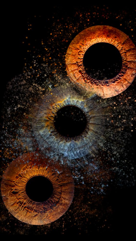 Iris Family 3 Meschliche Iris kunstvoll zusammengefügt.