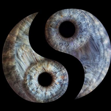 Iris Duo Zwei menschliche Iris zu Ying und Yang geformt